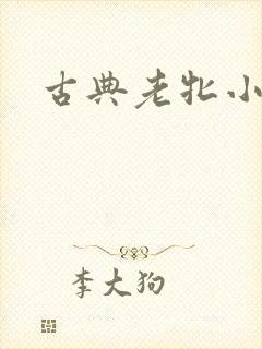 古典老牝小说