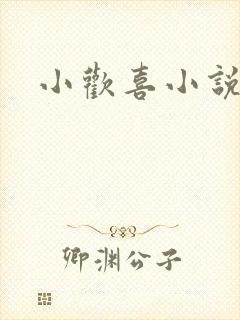 小欢喜小说