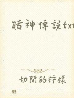 赌神传说txt