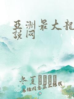 亚洲最大龙腾小说网