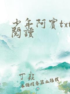少年阿宾txt阅读