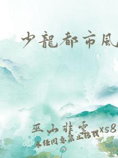 少龙都市风流行
