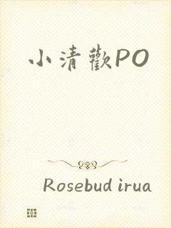 小清欢PO