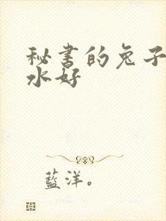 秘书的兔子好软水好
