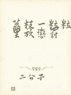 荔枝一粒粒的往里放惩罚