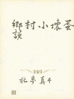 乡村小坏蛋 小说