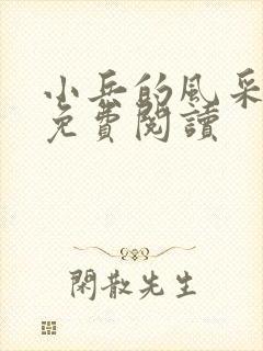 小兵的风采小说免费阅读