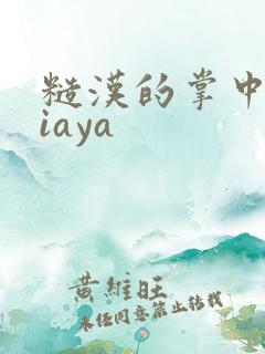 糙汉的掌中花Niaya