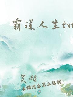 霸道人生txt