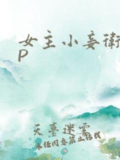 女主小妾卫府NP