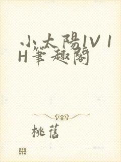 小太阳1V 1H笔趣阁