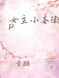 女主小妾卫府NP