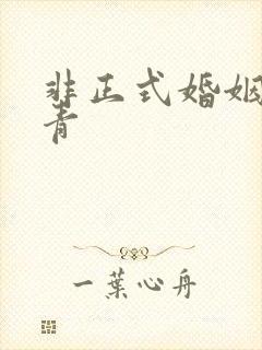 非正式婚姻雾里青