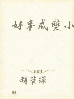 好事成双小说