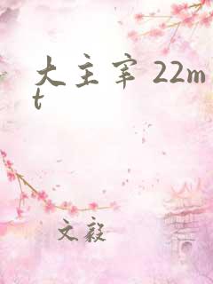 大主宰 22mt