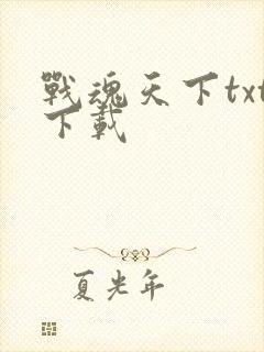 战魂天下txt下载