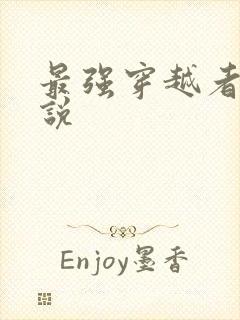 最强穿越者 小说