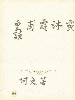 皇甫霆沐灵芸小说