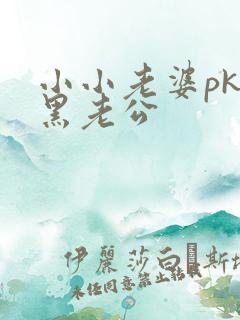 小小老婆pk腹黑老公