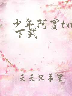 少年阿宾txt 下载