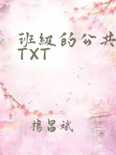 班级的公共玩具TXT