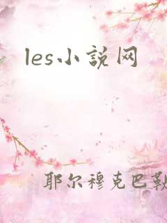 les小说网
