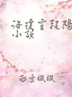 洛琼霄段阳澍的小说
