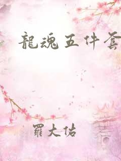 龙魂五件套