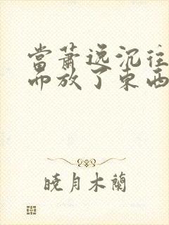 当萧逸沉往你里面放了东西小玩具