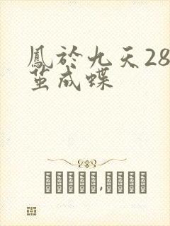 凤于九天28破茧成蝶