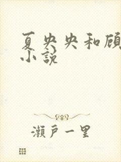 夏央央和顾祁琛小说