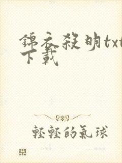 锦衣杀明txt下载