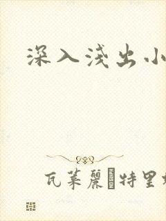 深入浅出小说