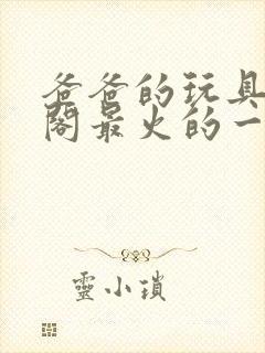 爸爸的玩具笔趣阁最火的一句