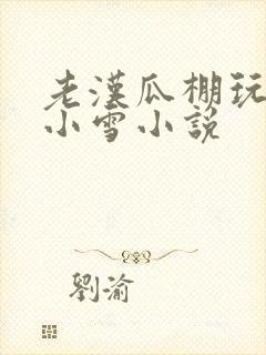 老汉瓜棚玩小丹小雪小说