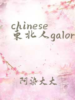 chinese东北人galore