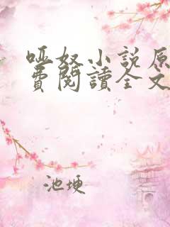 哑奴小说原著免费阅读全文