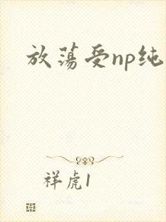 放荡受np纯肉