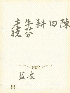 老牛耕田陈雪杨晓芬