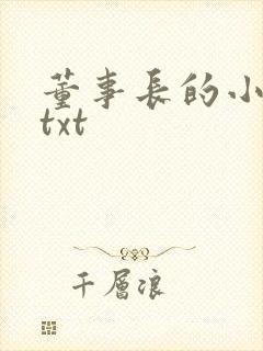 董事长的小王爷txt