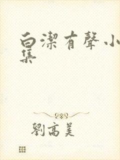 白洁有声小说全集