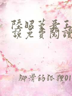 陆昭菱晋王的小说免费阅读