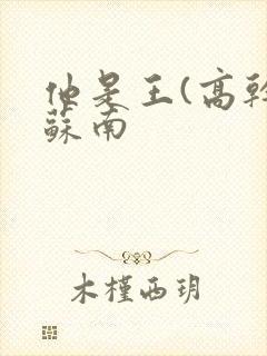 他是王(高干)苏南