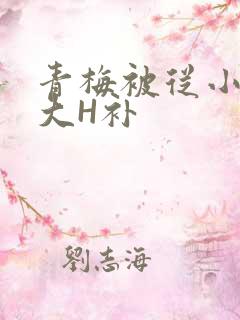 青梅被从小摸到大H补