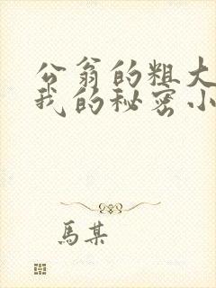 公翁的粗大放进我的秘密小说