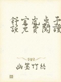 舒宜岚卓予淮小说免费阅读全文