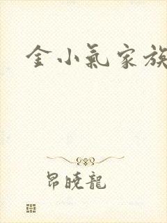 金小气家族小说