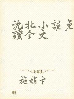 沈北小说免费阅读全文