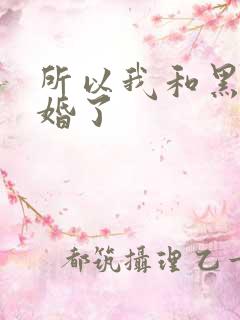 所以我和黑粉结婚了