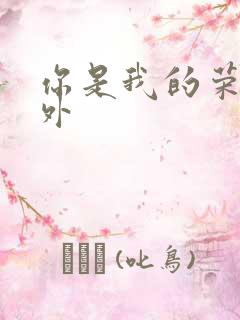 你是我的荣耀番外